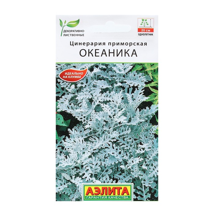 ������� ������ ���������� ������: ���������