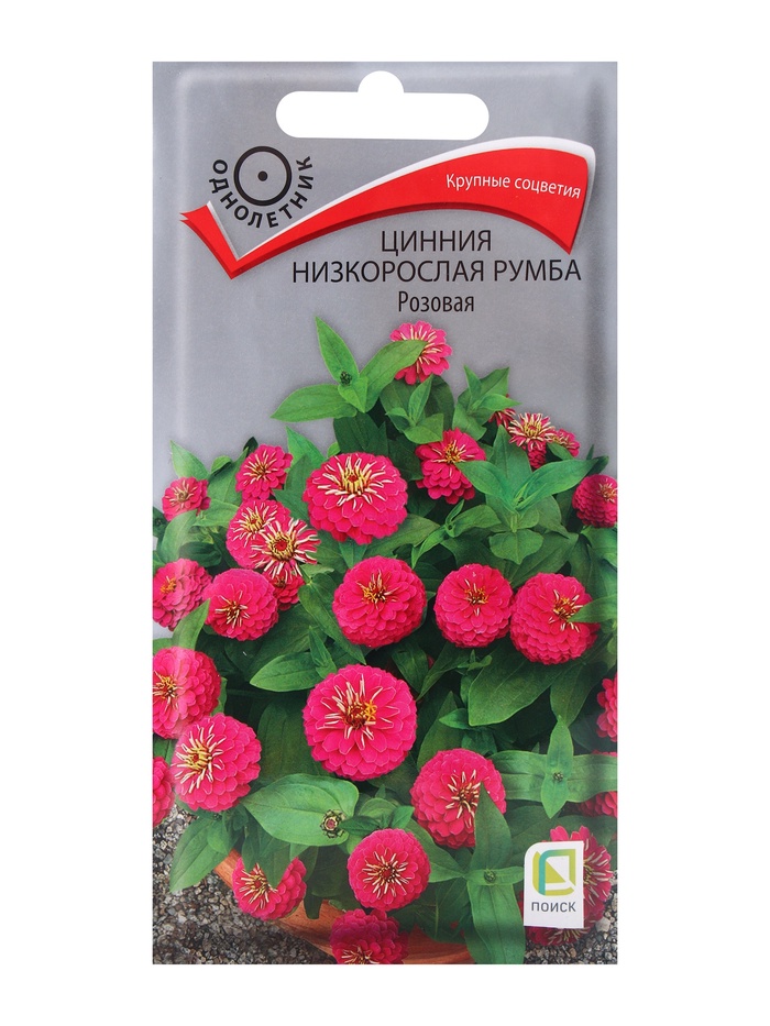 ������� ������ ���������� ������: ������