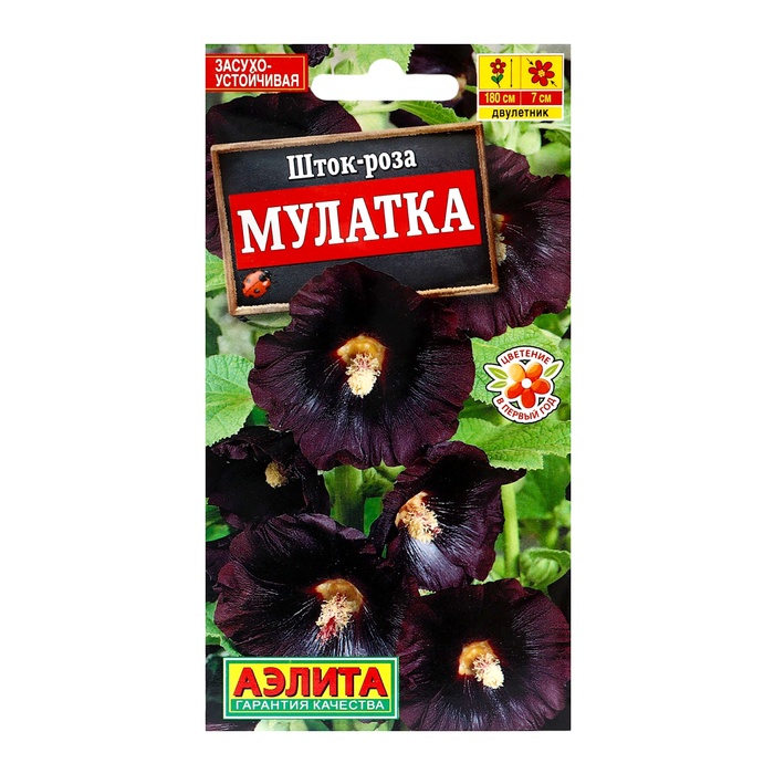 ������� ������ ���������� ������: ����-���� (������)