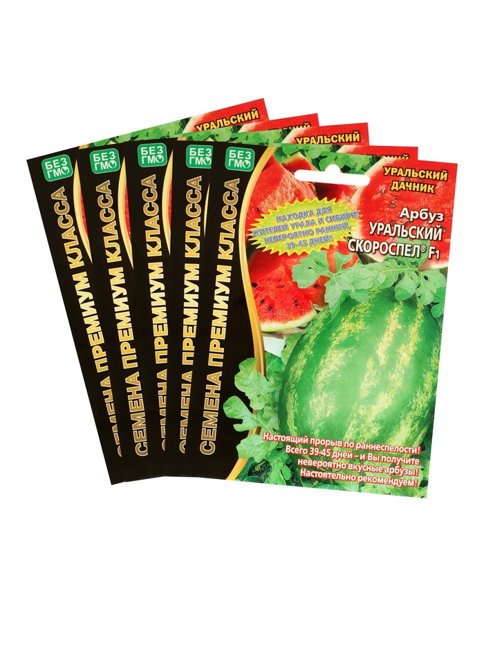 ������� ������ ������