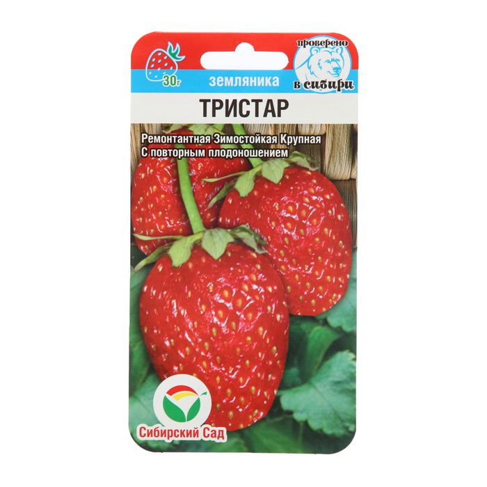 ������� ������ ��������