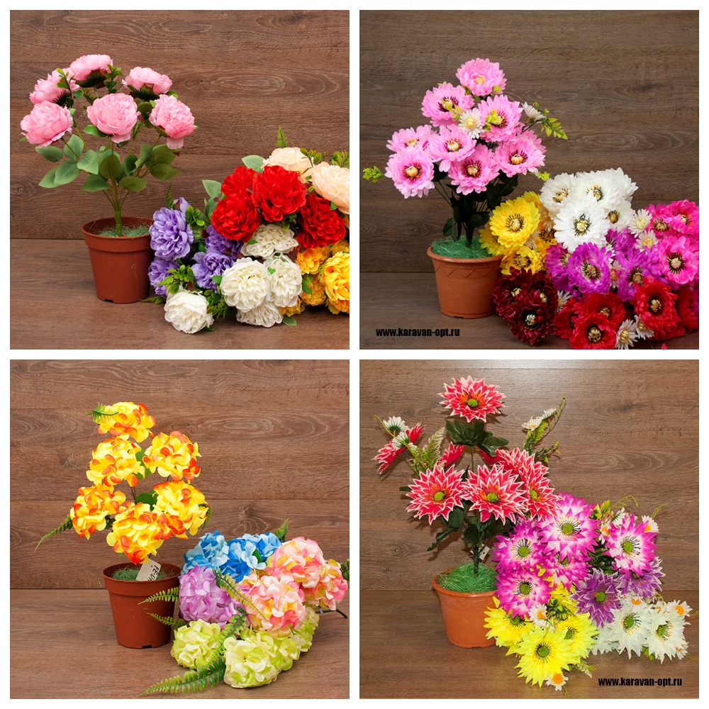 [b]��������-���� �� 9.01.2025 ������������� ����� ����������, ����� �����������![/b]