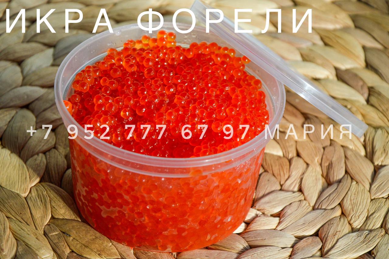 ���� �� 17.01. ���������� ������� ���� ���� (2 ����),�������. ���� ������ (�������), ���� ������. ���� ������. ������ ������