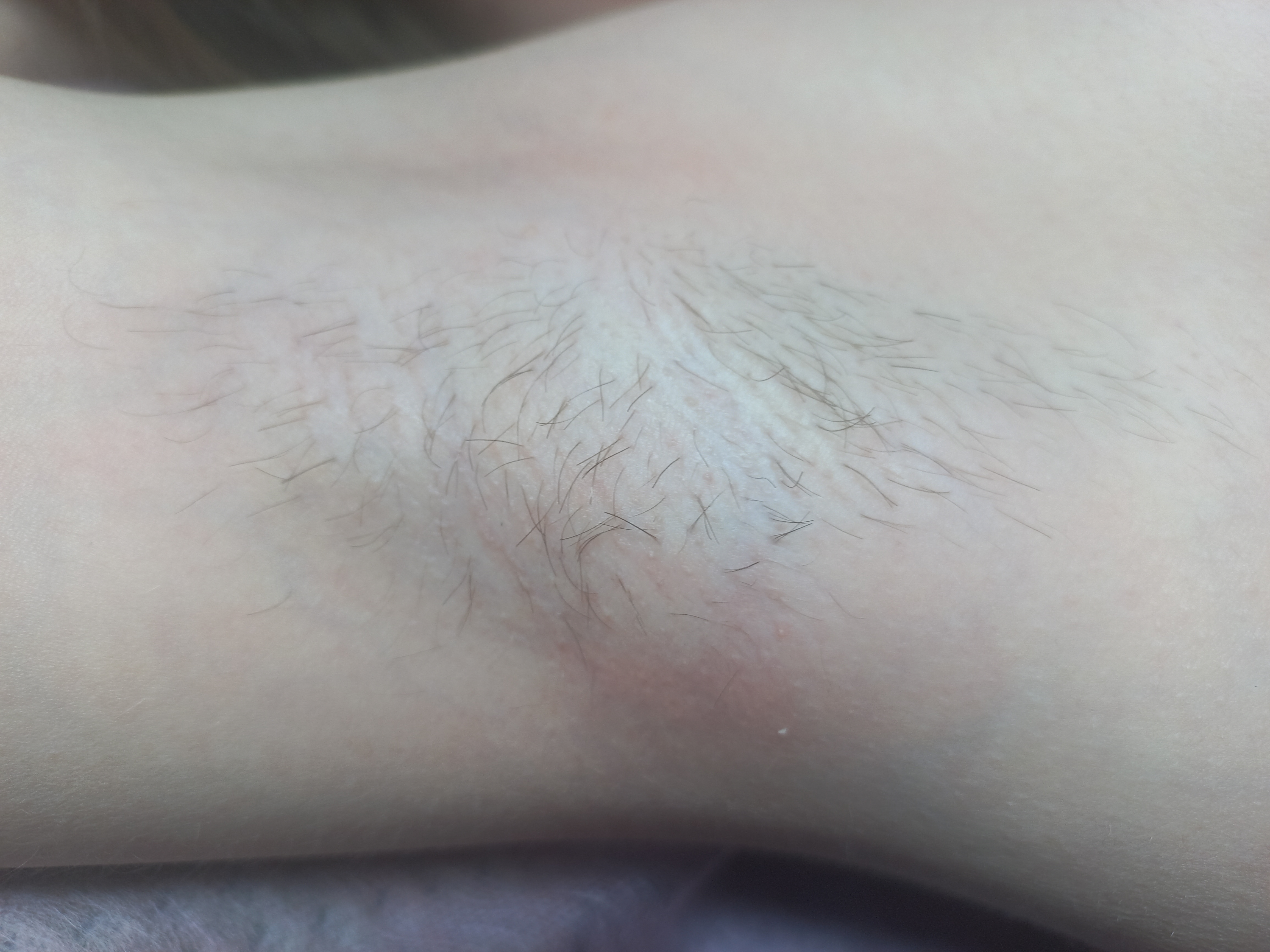 ����������.