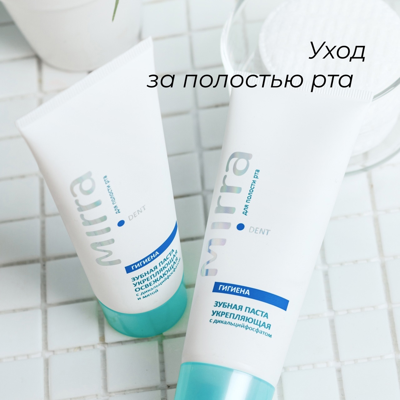 ���� ������ ������ �� �������� ��� ������� ������� ���: ���� � ��������������, �����, ��������������