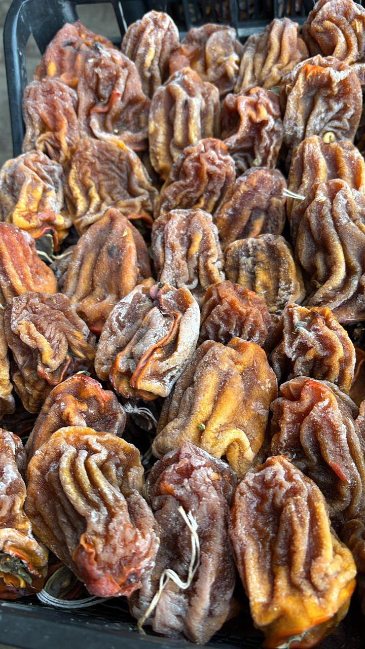 ����� ��ۣ���! �� ��� ���������?! ���������� �������� ��������� ��� ������!