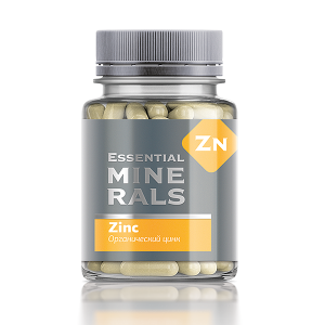 ������������ ����