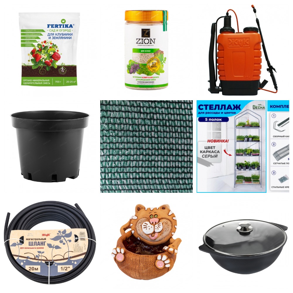 ���� �������. ��� ��� ����� �������� (������) 1. (�� 30.01).