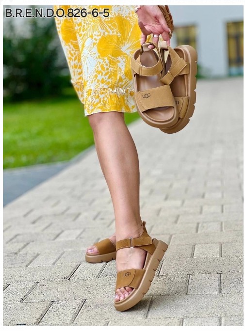 [b]����������! ����� ���� � ����! ����� ���������![/b]