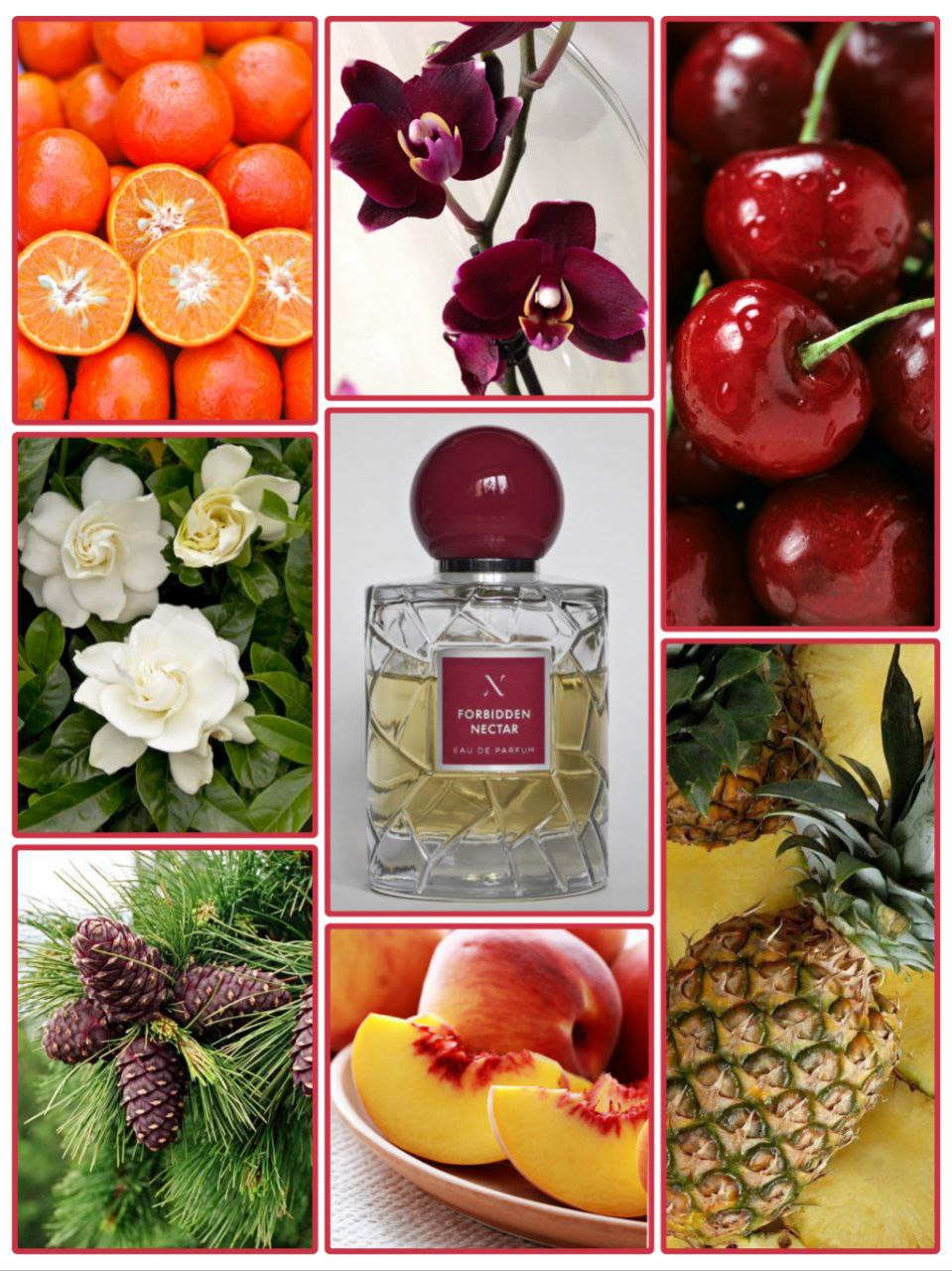 ����� ���� ������! 02/25  + ������� ����� �������� �� �������