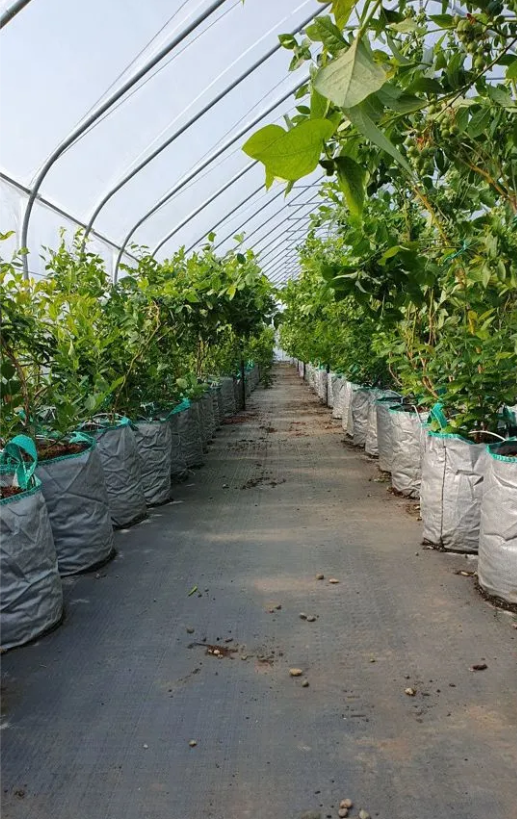 ���� �� 27 �����. ������ ���������� (����� ��� ��������) ��� ����������� ��������, �������,� ��� �� ��� ��������� � �������� �������� � �������� �� ����� � � �������