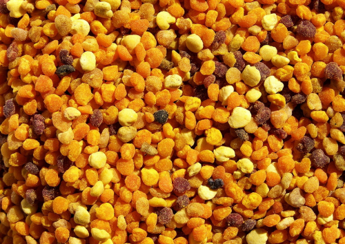 ������ (��� ������� ���������).... �������� 250��....������������! � �� �� ����� ���� ��������(