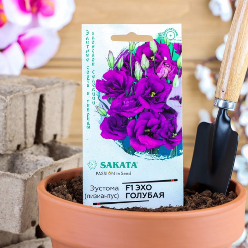 �������� �������� �� ��: ������: �����, ��������� ��������, �������, ������ � ��������, ������� � ����������, ������ � ��������, �����, �����, ����� � ������, ������ ��� �����.