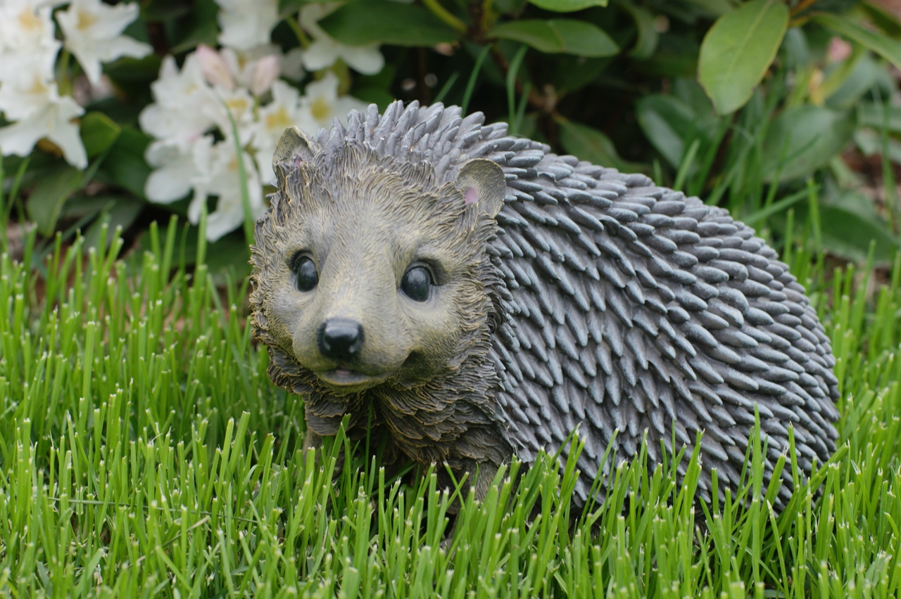 ������� �� ���������� �� ������������� ��� ���� � ��� ����. 