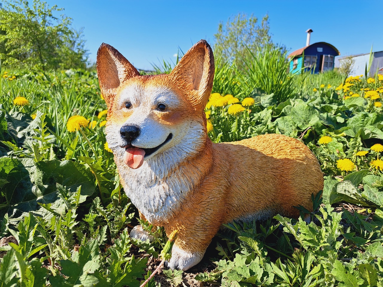 ������� ������� �� ���������� �������� ����� ����������� - �� ������ ���������� ����� �������