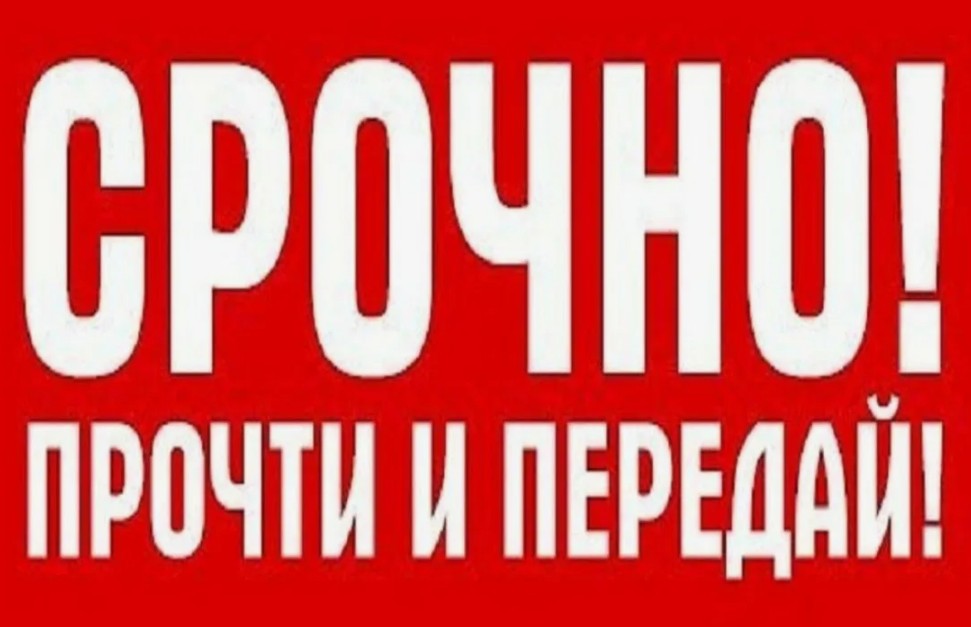 ����!!! �����!!! ������! ��������.����-����������� �� ����.��������� ��� ����� EVI Professional .���������� ������ ����! �������� �������� ,������� �� 256 �,� ������� ������ �� 93 �!+ �����,������! ����������!