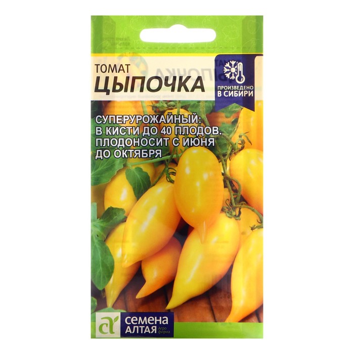 ������� ����� ������� 