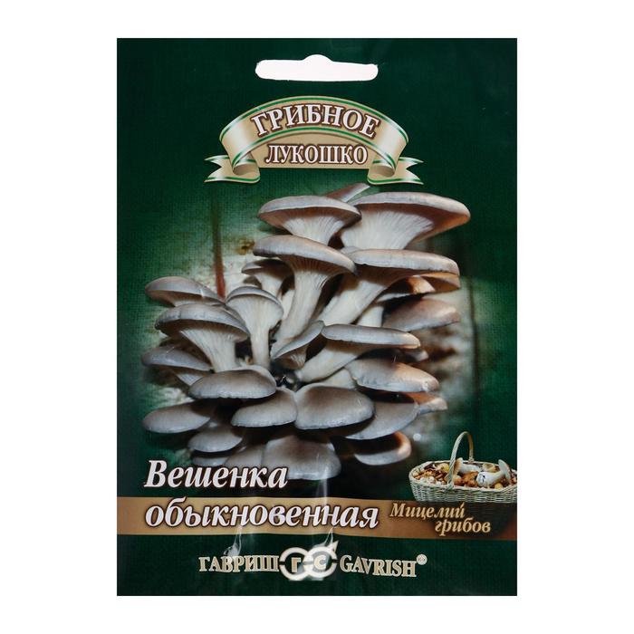 ���������� ������������ ������: �����, ��������� ��������, �������, ������ � ��������, ������� � ����������, ������ � ��������, �����, �����, ����� � ������, ������ ��� �����.