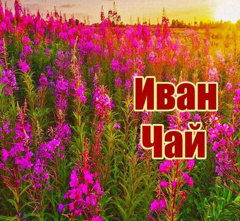 �������� ���� ���-����� ����� -�� ��������� ������ ���������� ��������, �������� �������� � ������������, ��������� �������� �������, �������� ����� ����� ��������� ����� ������������ ������� ��� �� ����� ������� ���������� � ���������� ��������.