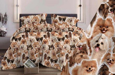 ����� �� ����� ����, ������, �������, �������, ���������, ������ -���� �������