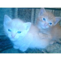 ���� VISHENKA77 ������ � � ��������� https://t.me/vishenka77bloc