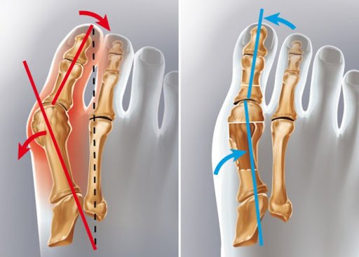 �������������� �������. ����������, ����������, ��������������� ������������. �� 23/02. �������, ������������, ������������, �����, �������, ������, ������.