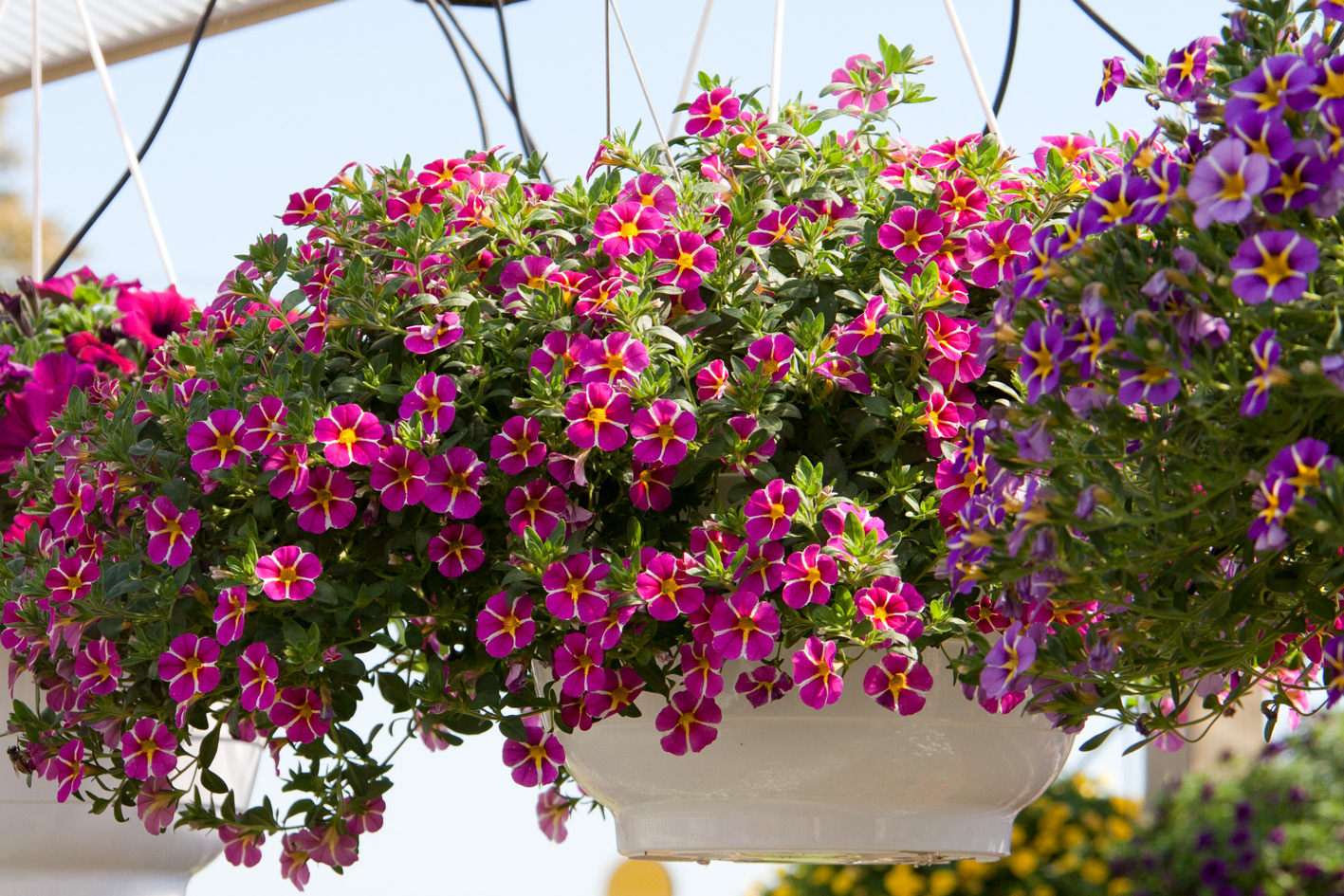 ����� �����-4. ������������ �������, �������� ���������� � ������, ����������, ������, ���������� � ������. ����������� ����� � �������. ������� � ������.