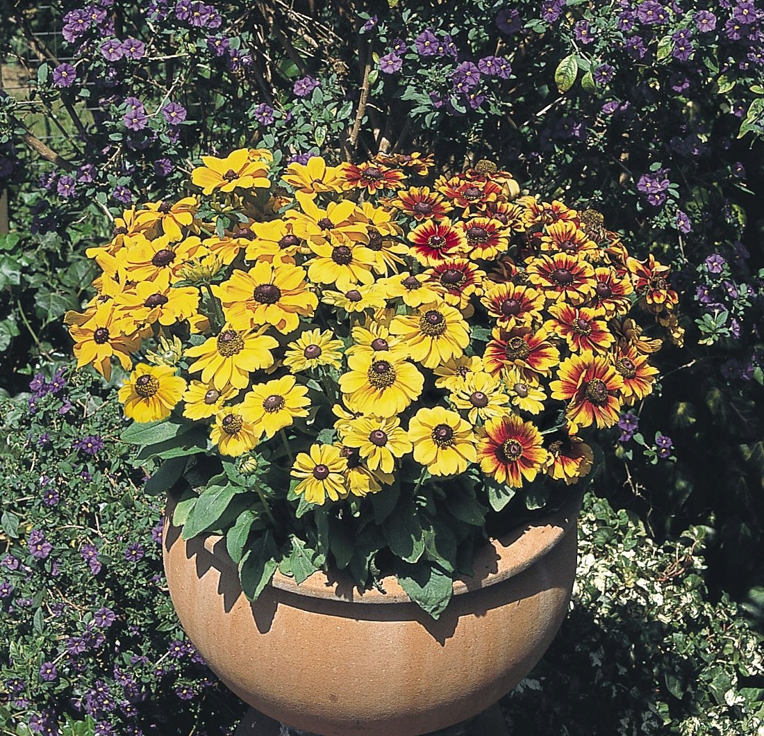 ������������ � ������. ����� ���� -3. ������� � ���, ����� ������� ����������. 