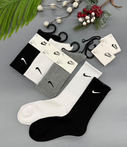 ������������ ����� � ������ ������