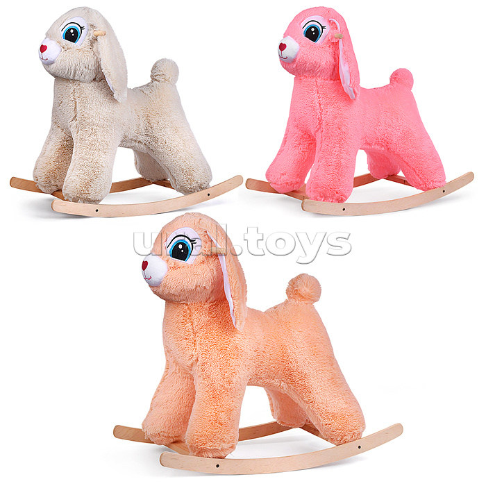 ������� �������, ���������