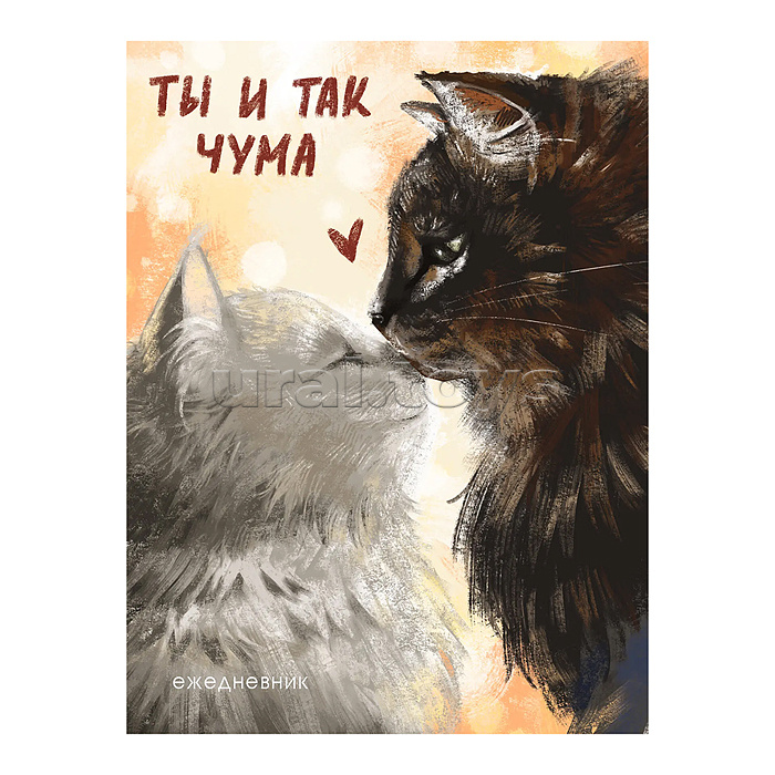 ����� ���� �� 24.02 ���������� ������� ����� �����, ����� ���, �������-������. ��� ��������� � �������. ��������� � �������.