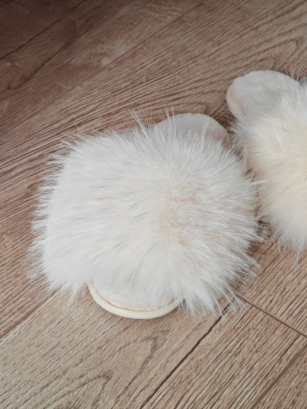 ���� �� 5.03. ���� � ������� �� ������ � ��� ���� ��� ���� �����. ������ �������, ����� � ��������. ��� �����. � 36.