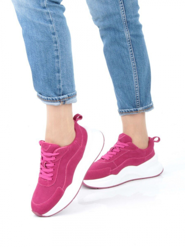 �����. ��������� �����. ����� ��������� �������. ����� ����. �������� ��������.