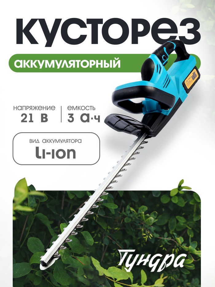 ����� ����� 23. ������� ���������, �������� ��������, �������, ��������������� � ����� ����, ����������, �����, ����, ������ ��� ������, ��� ������ �����, ��������, ������� �������.