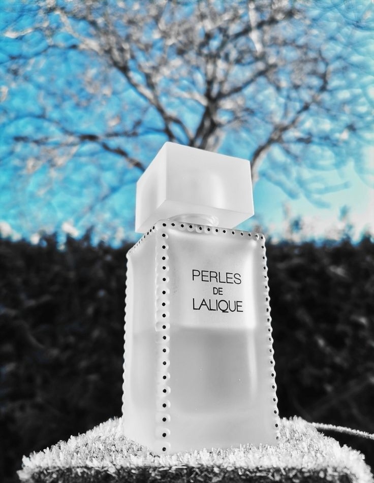 ���� �� 8.03. ���������� � �������� ����� ��������� �����. ����