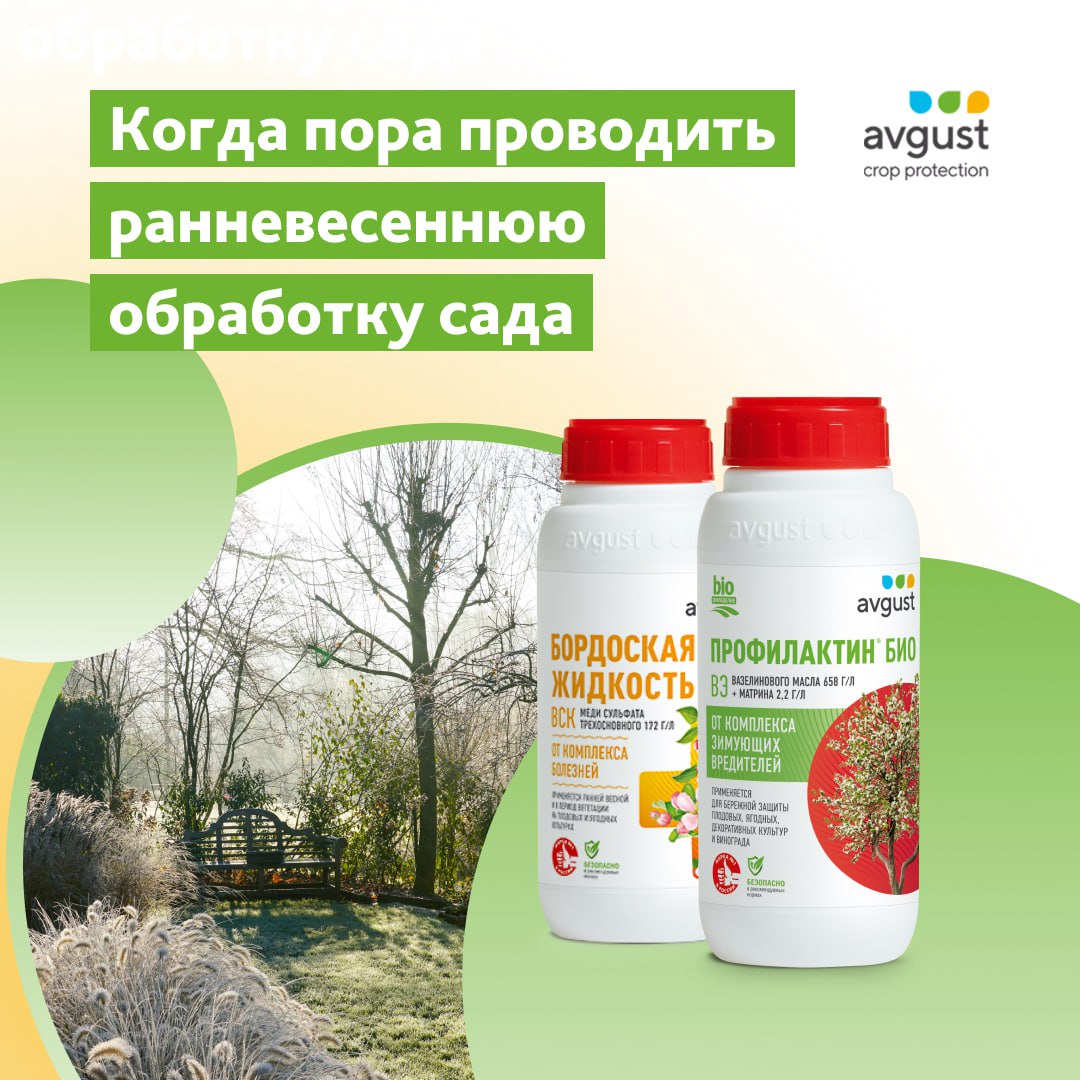 ��� ��������! �ӣ ��� �������: ���������, ��������� �� ���������� � ��������, ����. ��������, ��������� �����, ���������� � �.�. 174