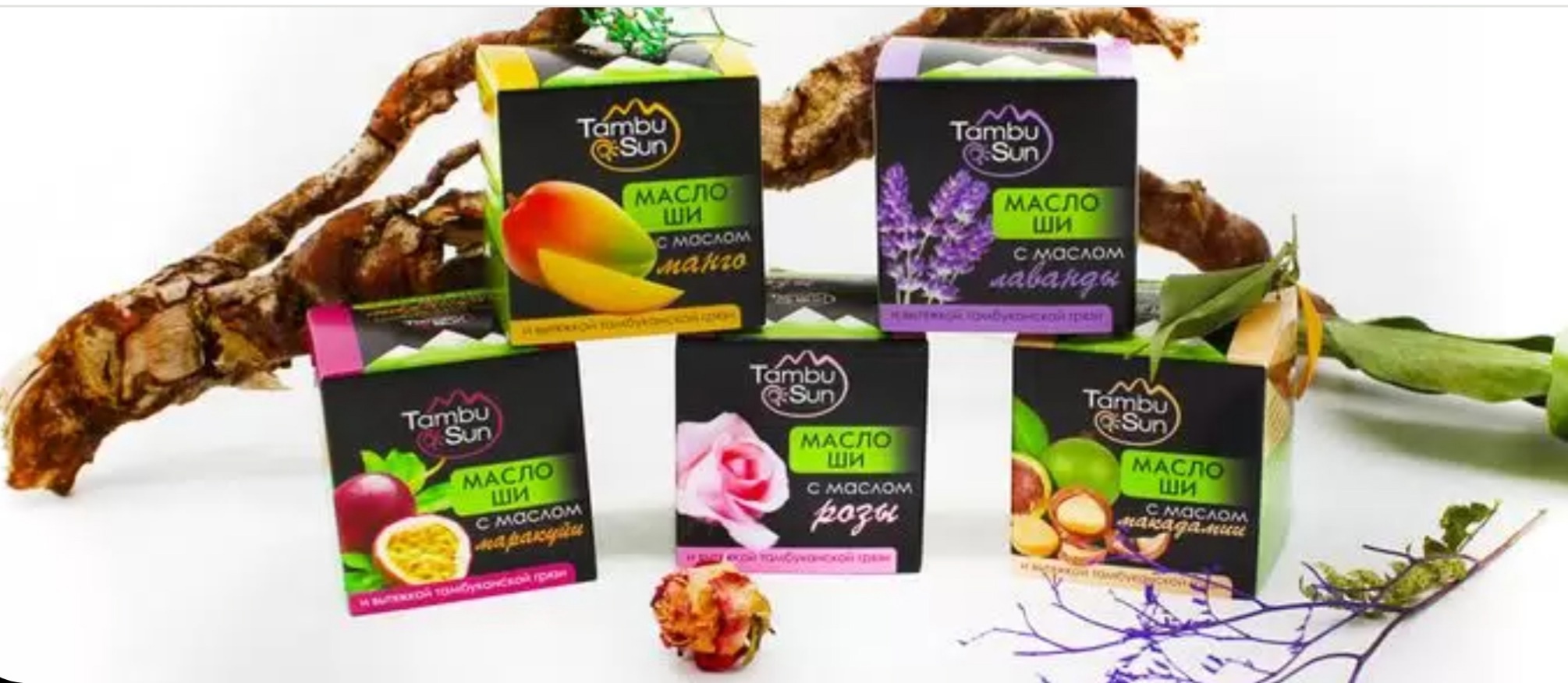 ����� �� TambuSun ��� ������� � ��������� ����� ����