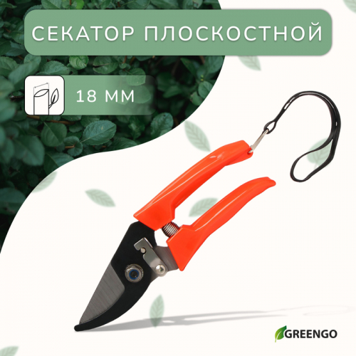 ������� Greengo ������������ ��� ������������ ��������� ����� � ������������ ����� �������� � �����������. ����� ������������ ��� ����� ��������� ��� ��� �������� ������ � ��������.