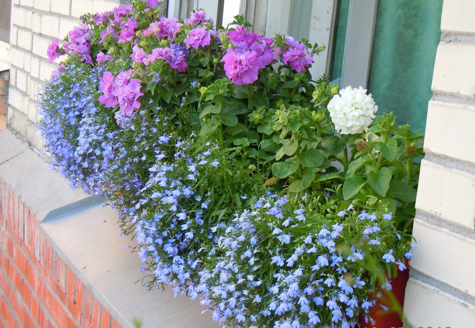 ������� ������ 2025. �������, ����������, ������, �������, �������, ���������, �����, �������, ������, ������, ������� ���, ������������, �����������, �����, ��������� � ������ �����