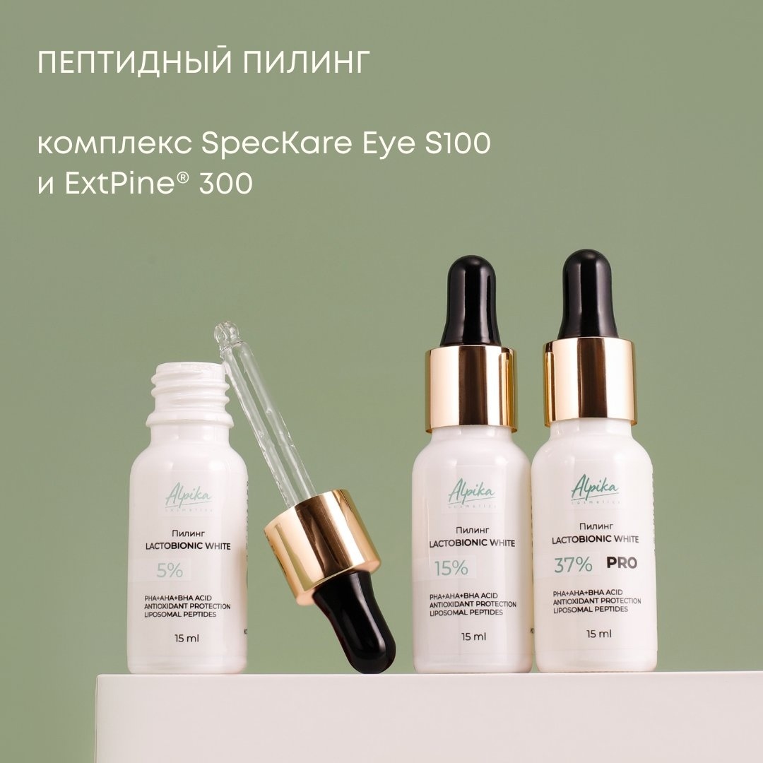 ������� � Plazan ( ������ ) - ������������ ������ ���������. ����.������ � ������� ������� �������� � ���������������� ��������� - 6/25.