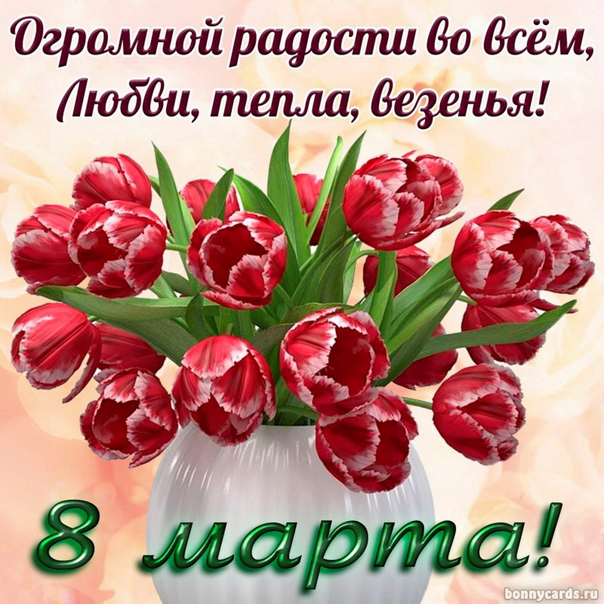 ���� �������, �������, ������ � 8 �����! 