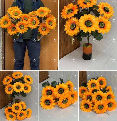 ����. ������� �������� ����������   (������������� �����)