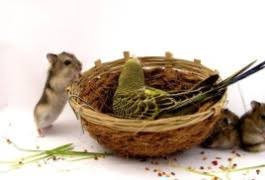 ��������, ������, ��������� - ��� �����������! 25-5