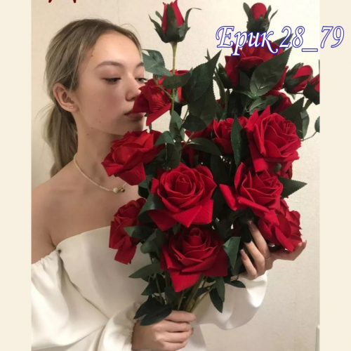 ���� �������. � �����. ������������� ����� �� 17 ���-9  