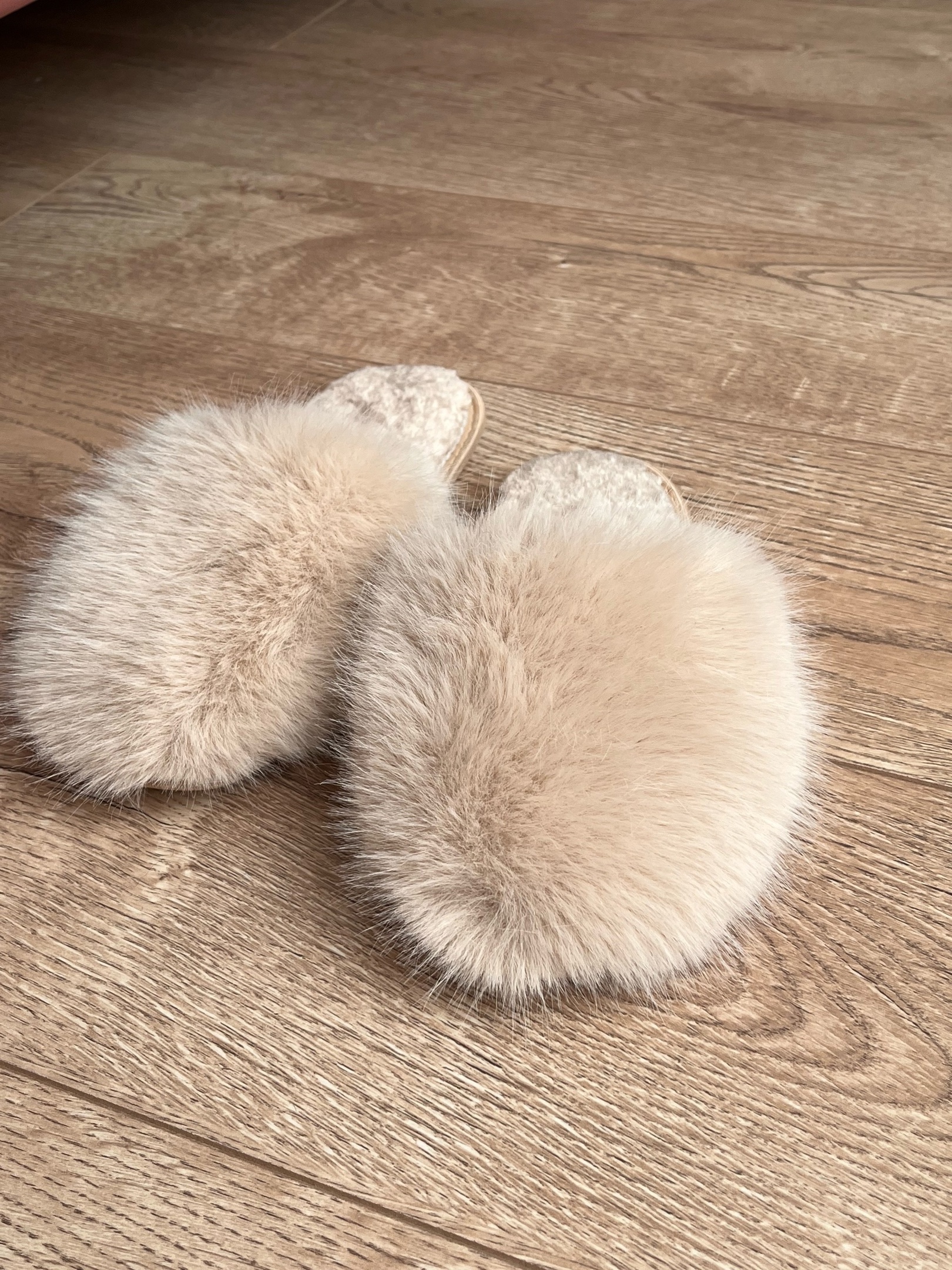 ���� �� 26.03. ���� � ������� �� ������ � ��� ���� ��� ���� �����. ������ �������, ����� � ��������. ��� �����. � 37.