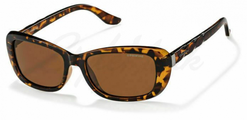 ���� �������. ����� � �����������. �������������� ���� Polaroid � STYLEMARK