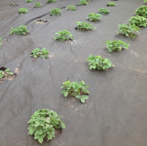  ����: �������� ��������, �������, ������, �����, ������, ��������� , ����� ��� ������� ��������, � ������