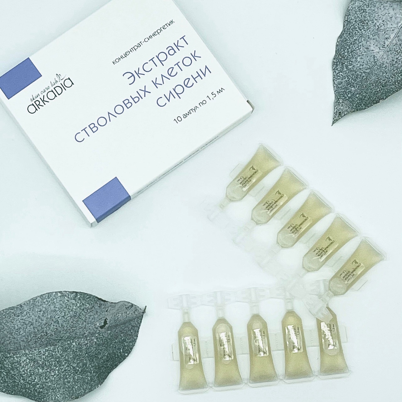 ARKADIA �������� ��������� ������ ������ - ��������� ������ ����������������, ���������������������, ����������������� ��������. ��������� ������������������ ����������� 