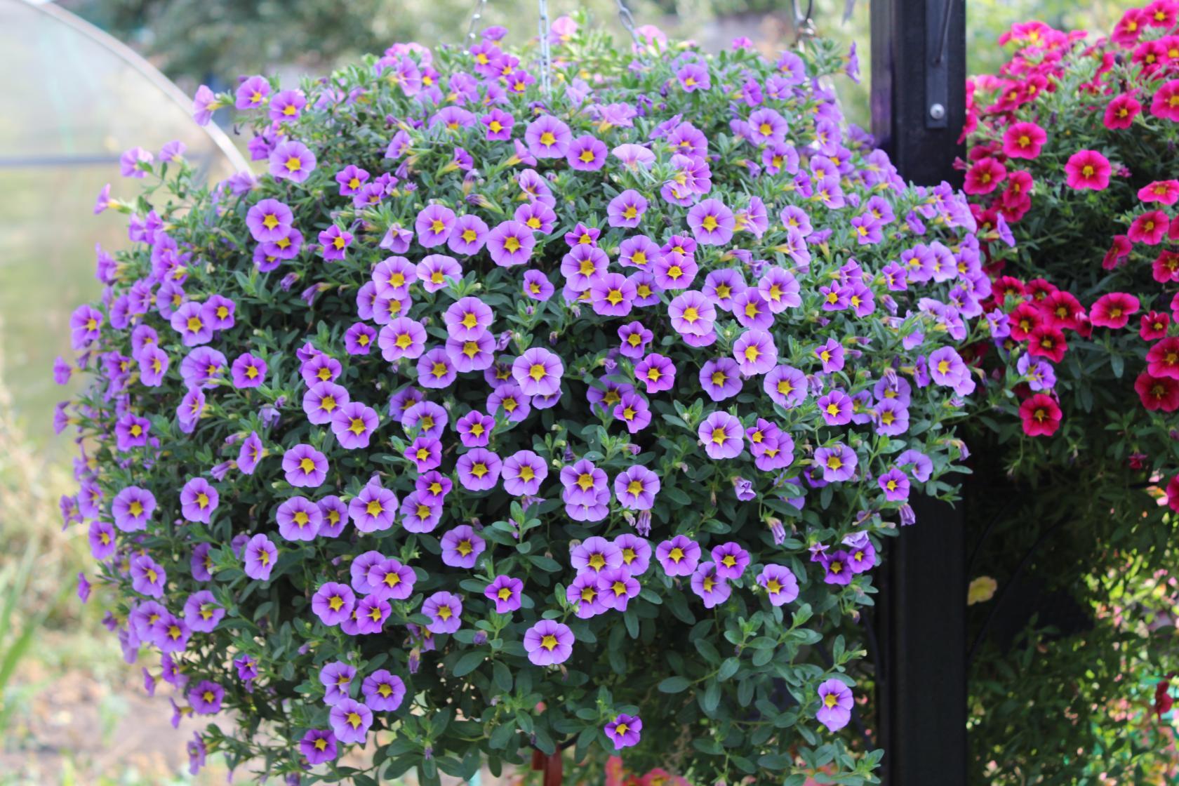 ��������� ����� � ������� � ������! ������������ �������, ����������, ������, ����������, ����� ������ ���������� ������������!