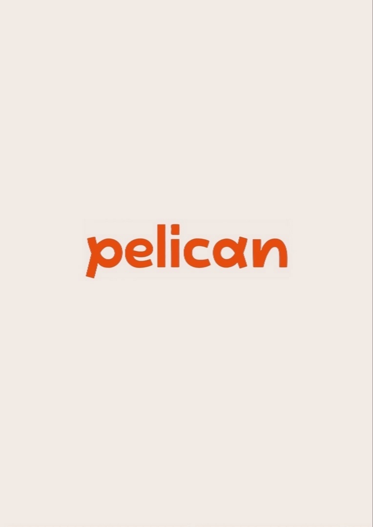 ���� ������� �� 14/04. ����������. Pelican - ����� � 20-������ ��������-40